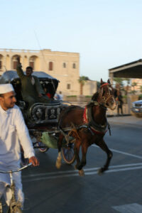 Luxor, hest og sykkel