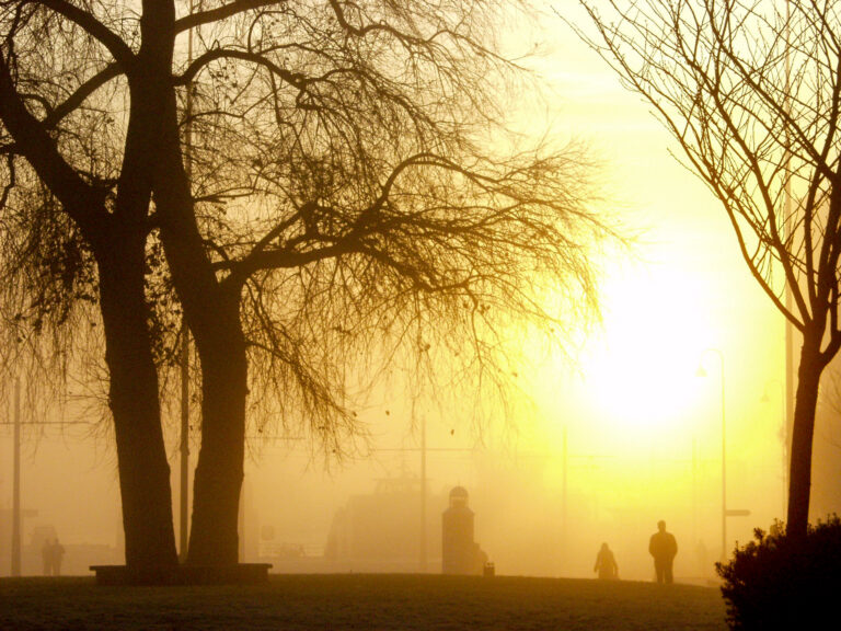 Nordic Noir krimferie