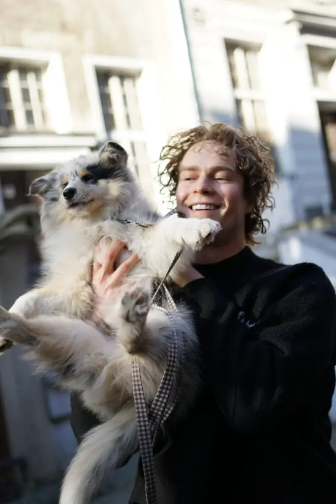 Hundeglede i Gdansk