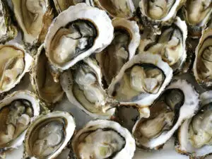 Østers