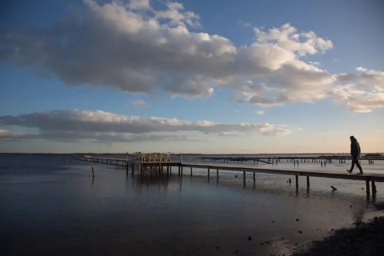 Sør-Frankrikes mest undervurderte region Etang de Thau